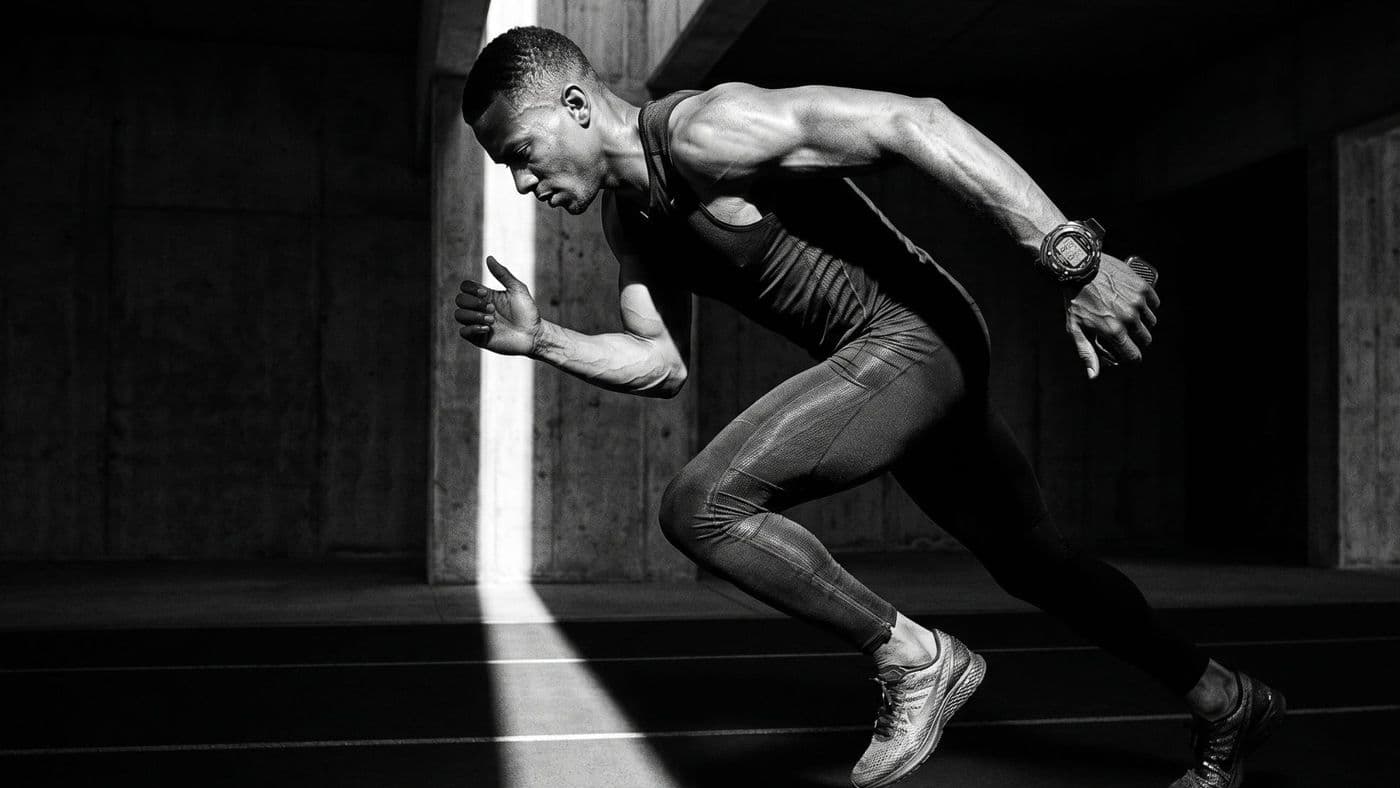 Höchste Performance dank nginx-Hosting von Timme Hosting